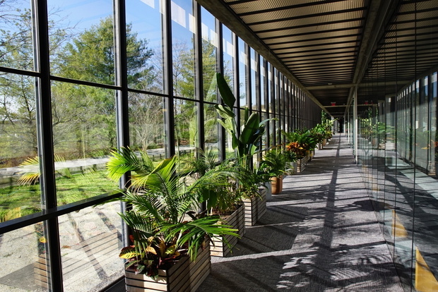Korytarz Bell Labs