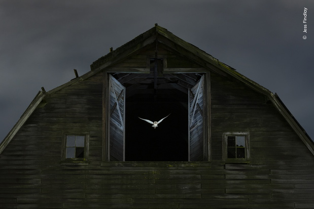 „Edge of Night”