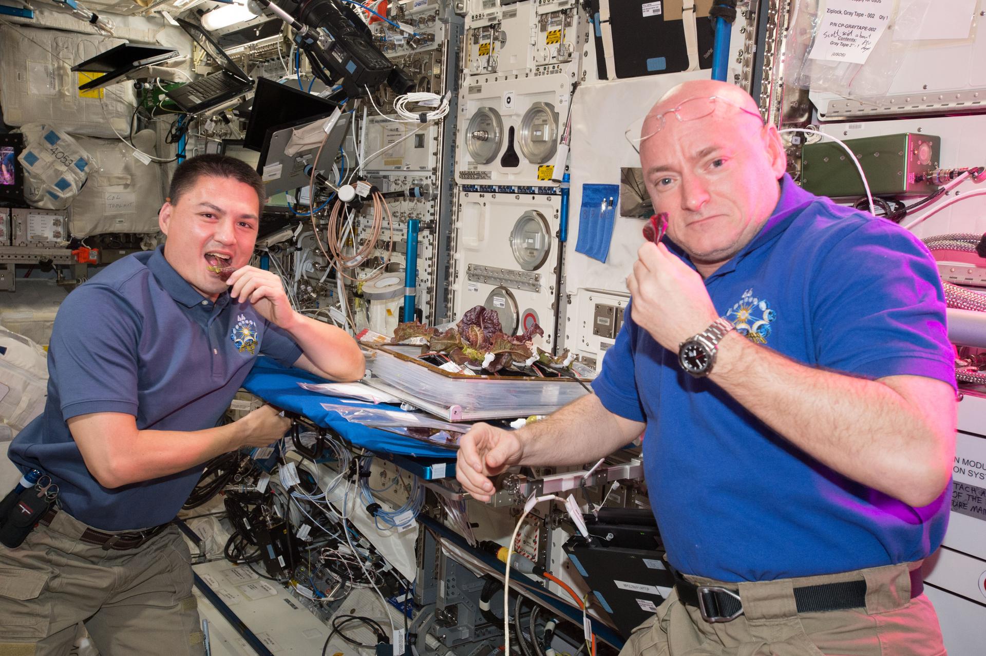 Niespodzianka. Stacje kosmiczne powinny być brudniejsze. Dla zdrowia astronautów