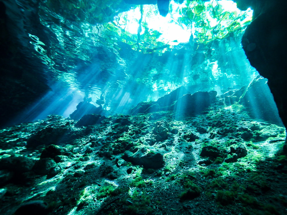 Życie na naszej planecie sięga głębiej, niż sądziliśmy. Nawet 500 metrów pod dnem oceanu