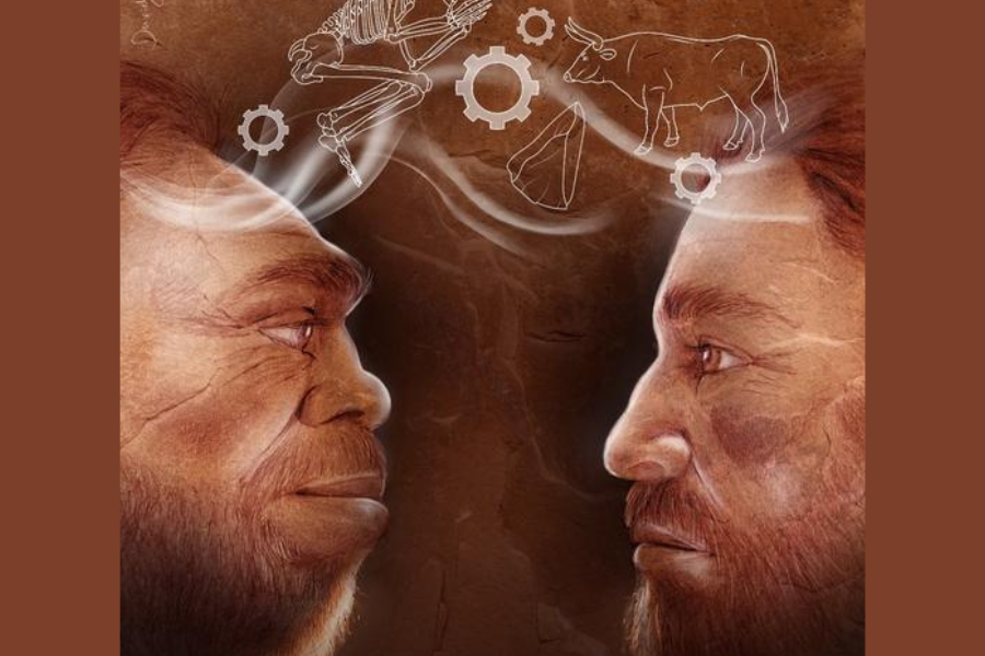 Bardzo wczesne i bardzo ściśle relacje neandertalczyków z ludźmi. Dowody z Lewantu