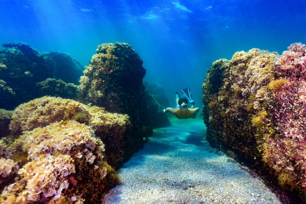 ISTRIA_26-snorkeling-locations_Photo-IstriaTB_A-Unkovic