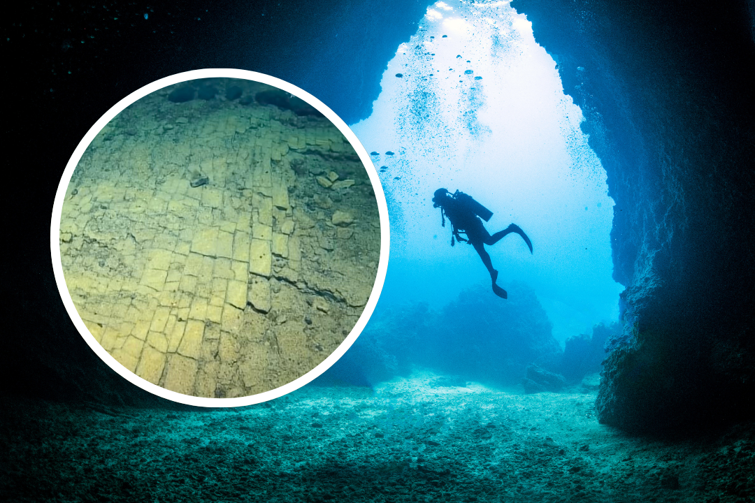Odkryto „żółtą, ceglaną drogę” na dnie oceanu. Wygląda jak z Krainy Oz