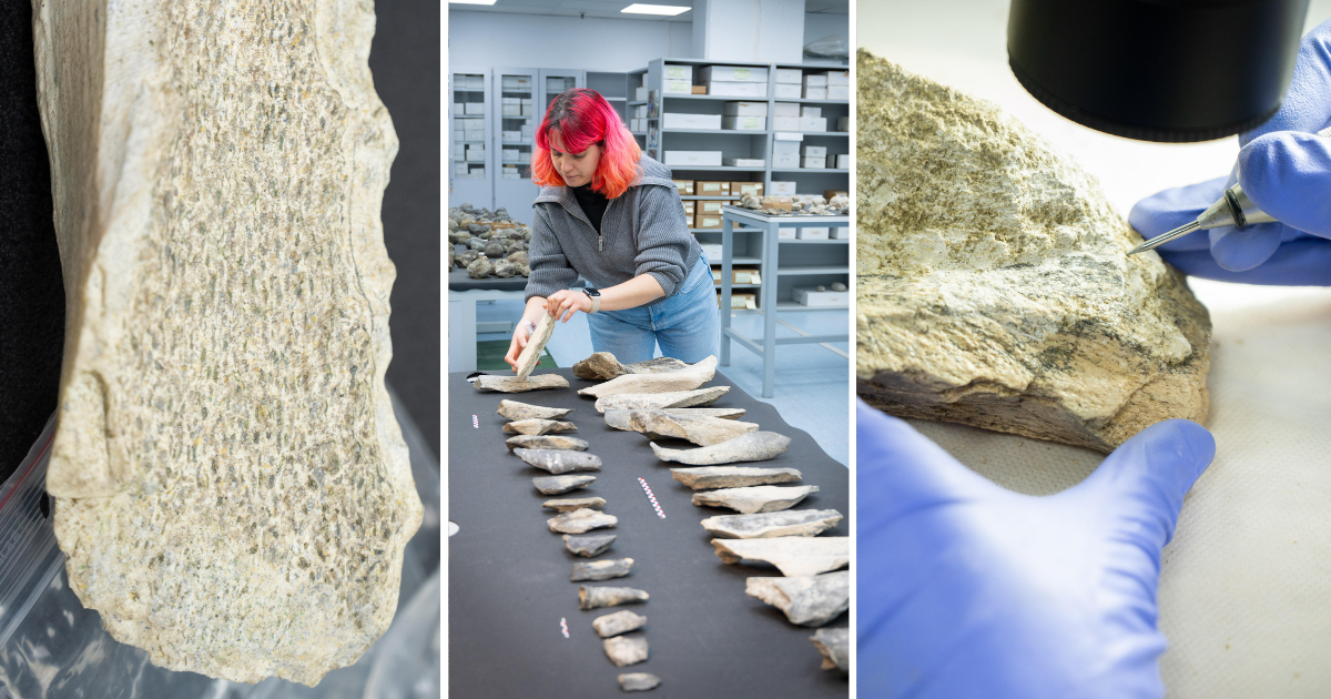 Najstarsze narzędzia z kości mają 1,5 mln lat. Archeolodzy cofają ten moment o milion lat