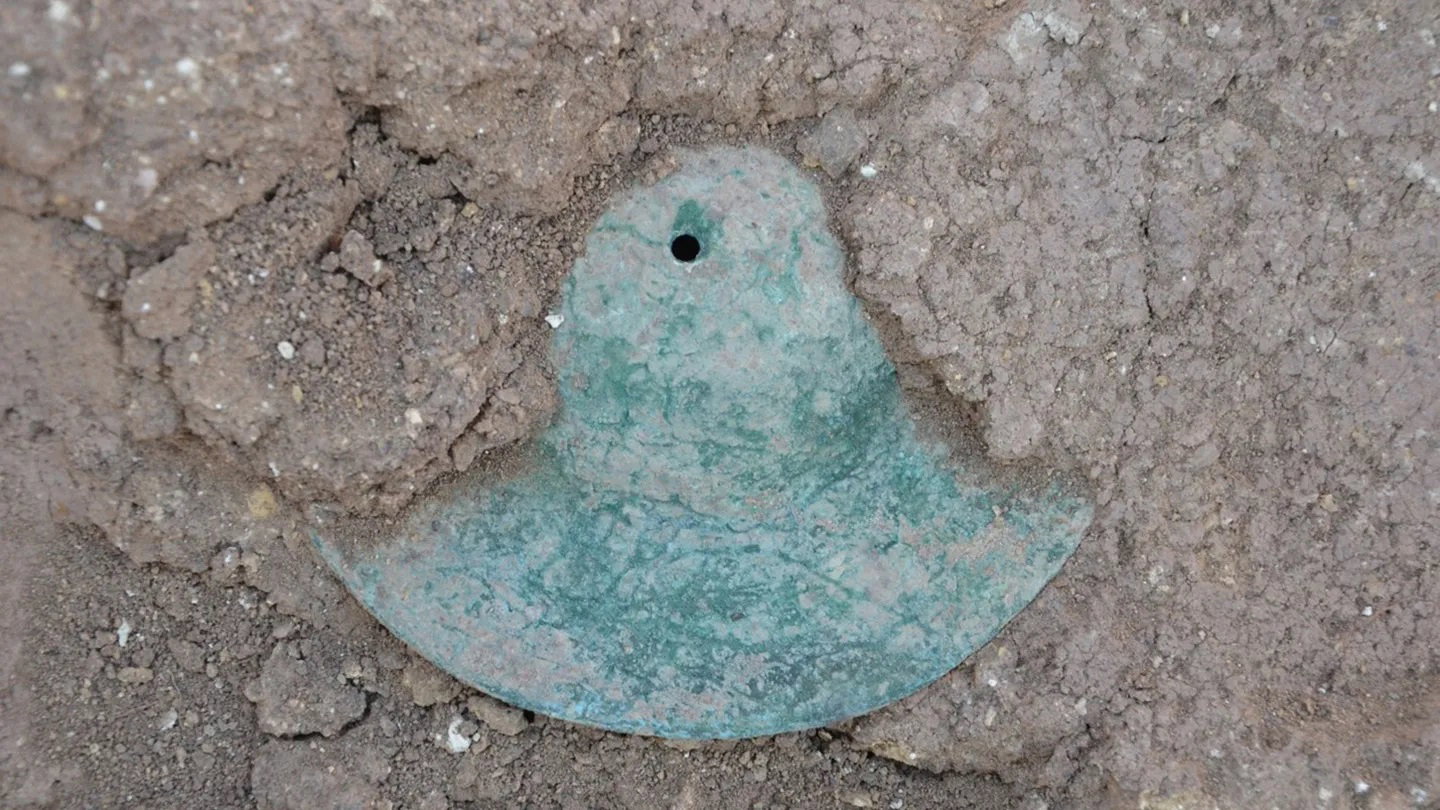 cymbaly-oman