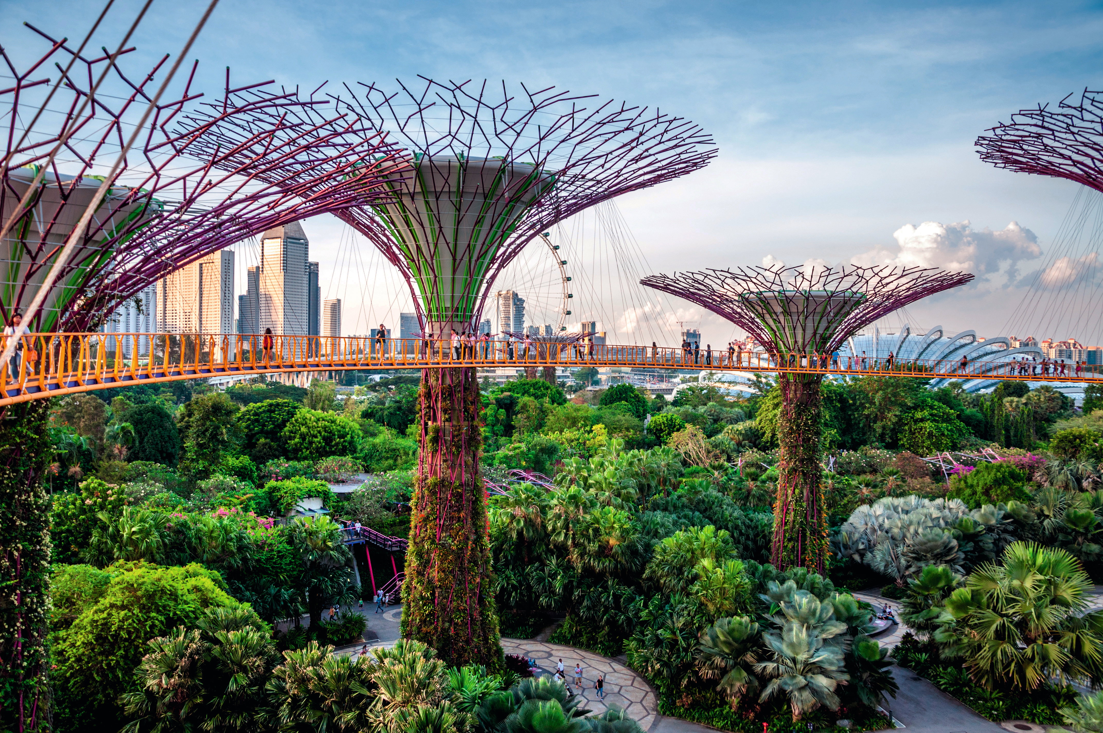 Singapur superdrzewa