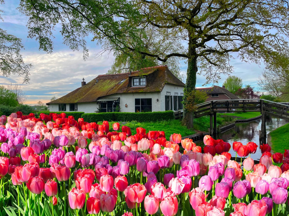 Giethoorn przypomina bajkową krainę