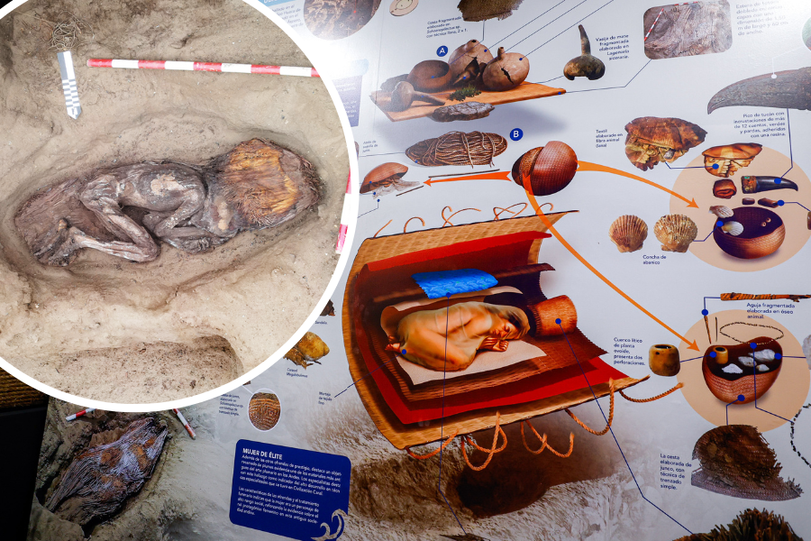 Ten elitarny pochówek kobiety zadziwił archeologów. W środku dziób tukana i pióra papugi