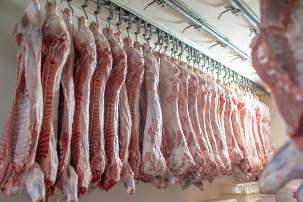 W trosce o ekosystem Ziemi dieta musi być uboga w mięso