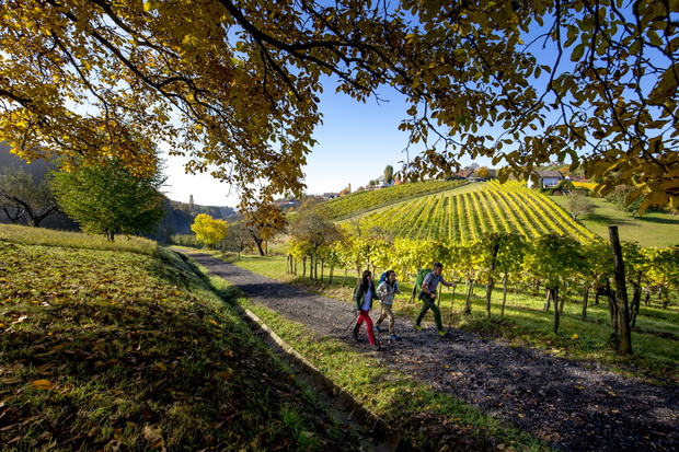 Styria, szlak "Od lodowca do winnic", okolice Klöch