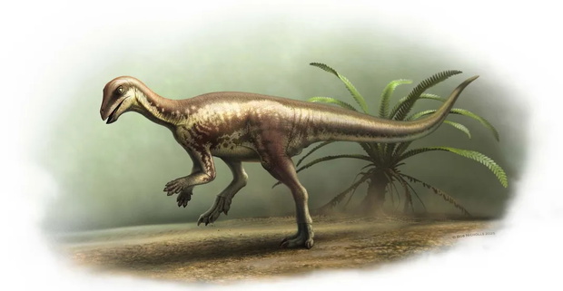 Nowy gatunek dinozaura