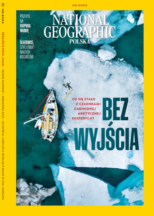Aksolotl meksykański