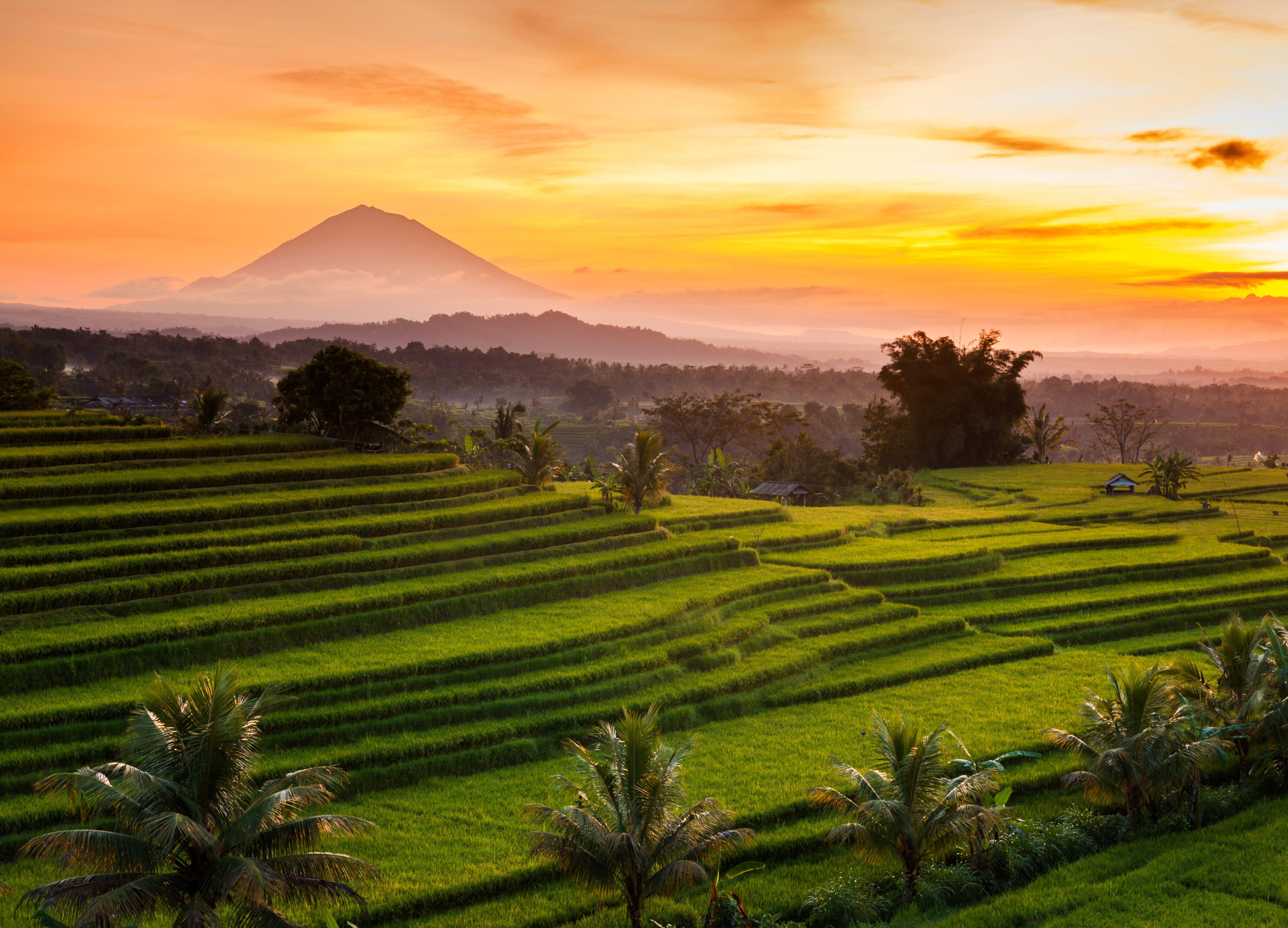 bali