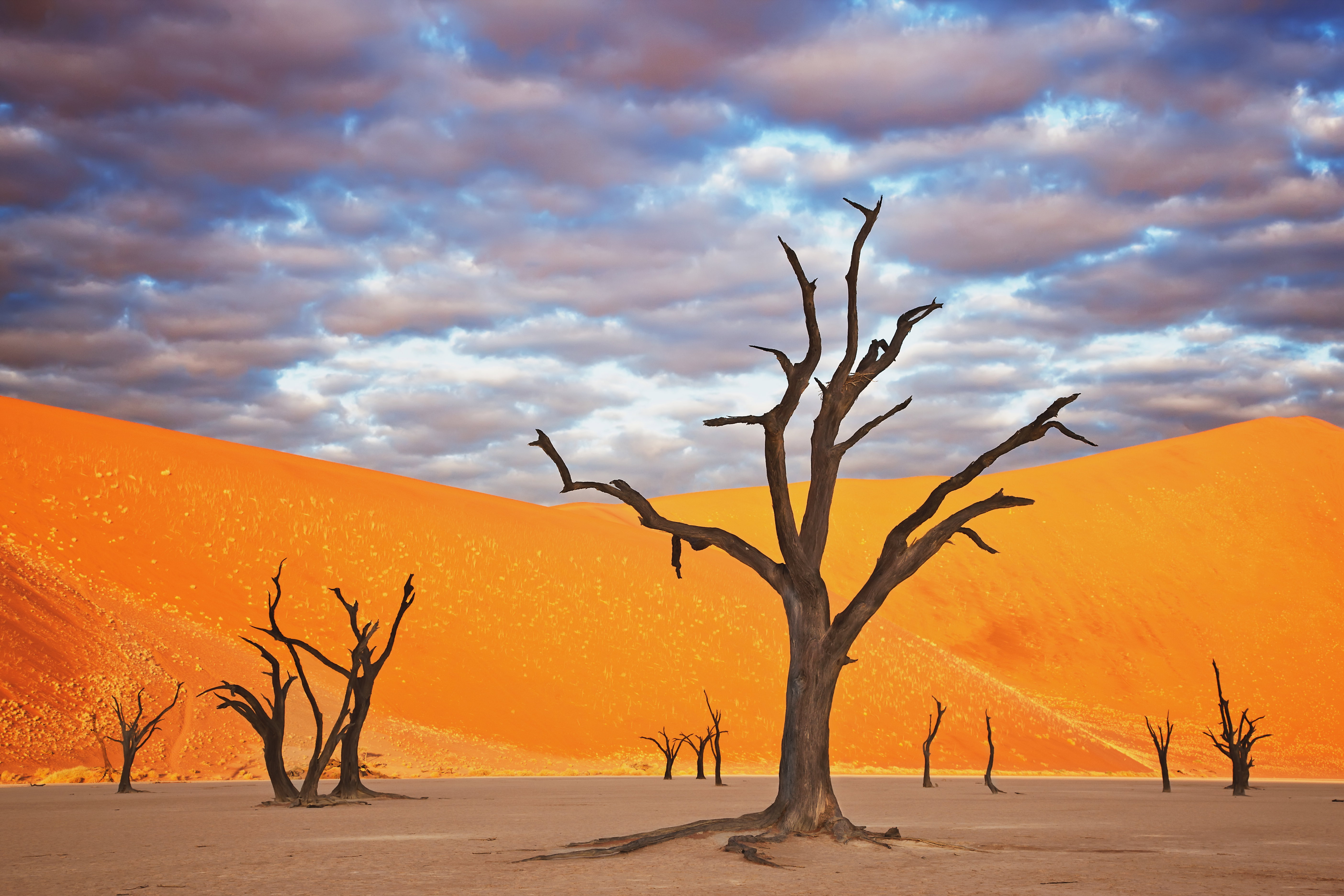 Sossusvlei, pustynia Namib, Namibia