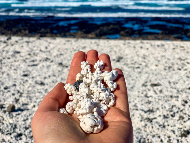 Popcorn Beach na Fuerteventurze
