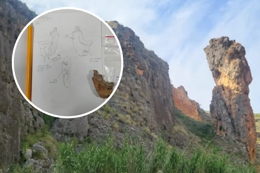 Gotowanie po neandertalsku. Ci ludzie mieli różne „książki kucharskie”