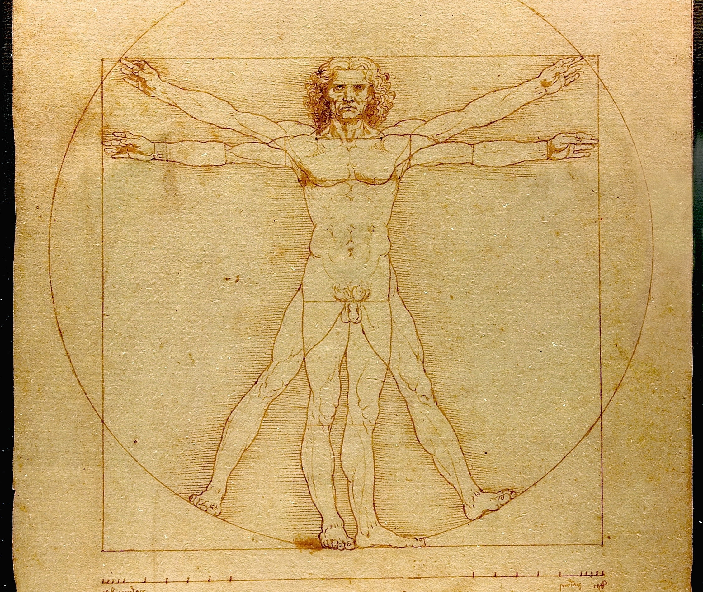 "Człowiek witruwiański" Leonarda da Vinci zawiera w sobie ukrytą geometrię