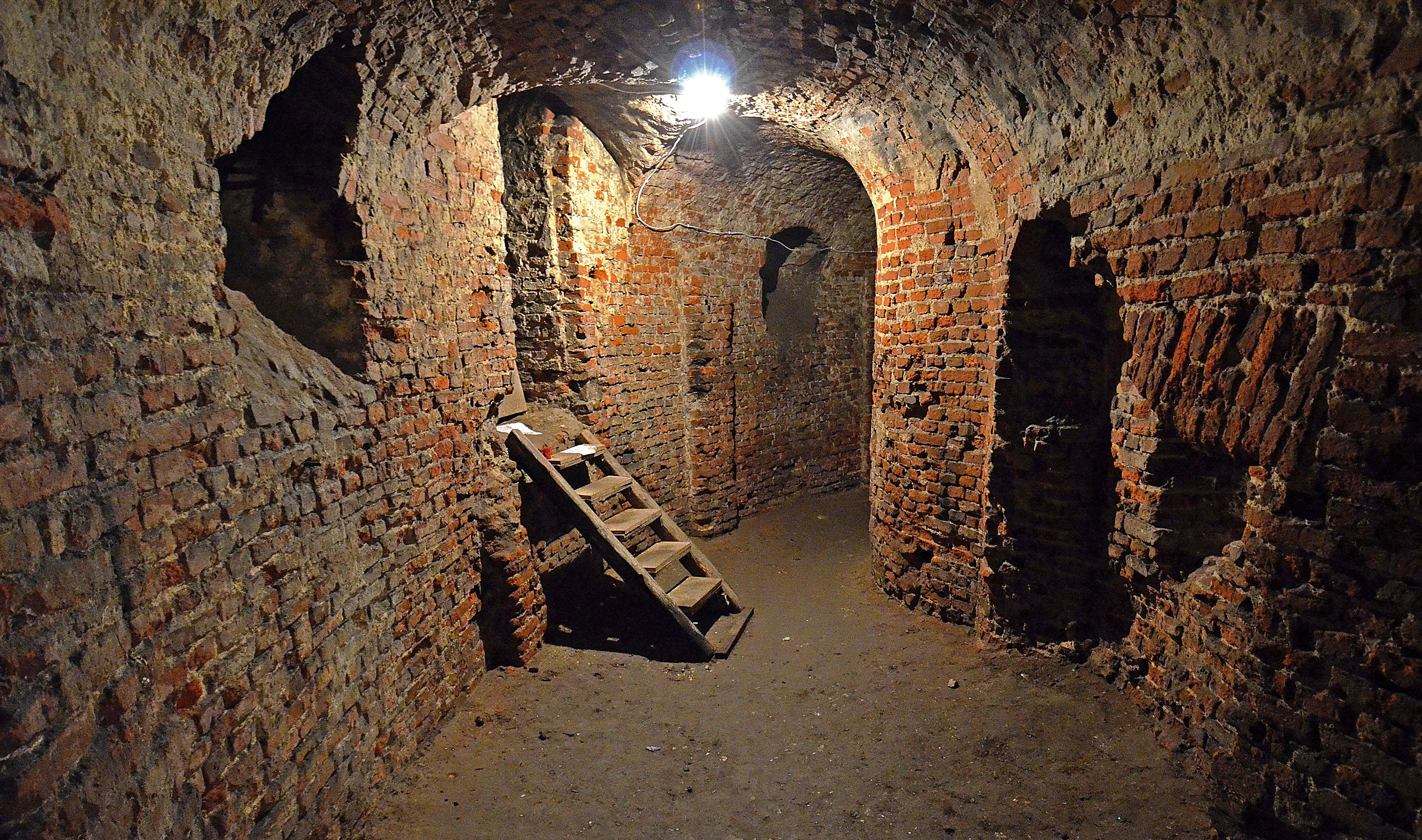 Jedno z pomieszczeń Elizeum