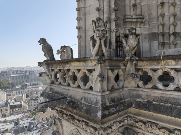 notre dame gargulce