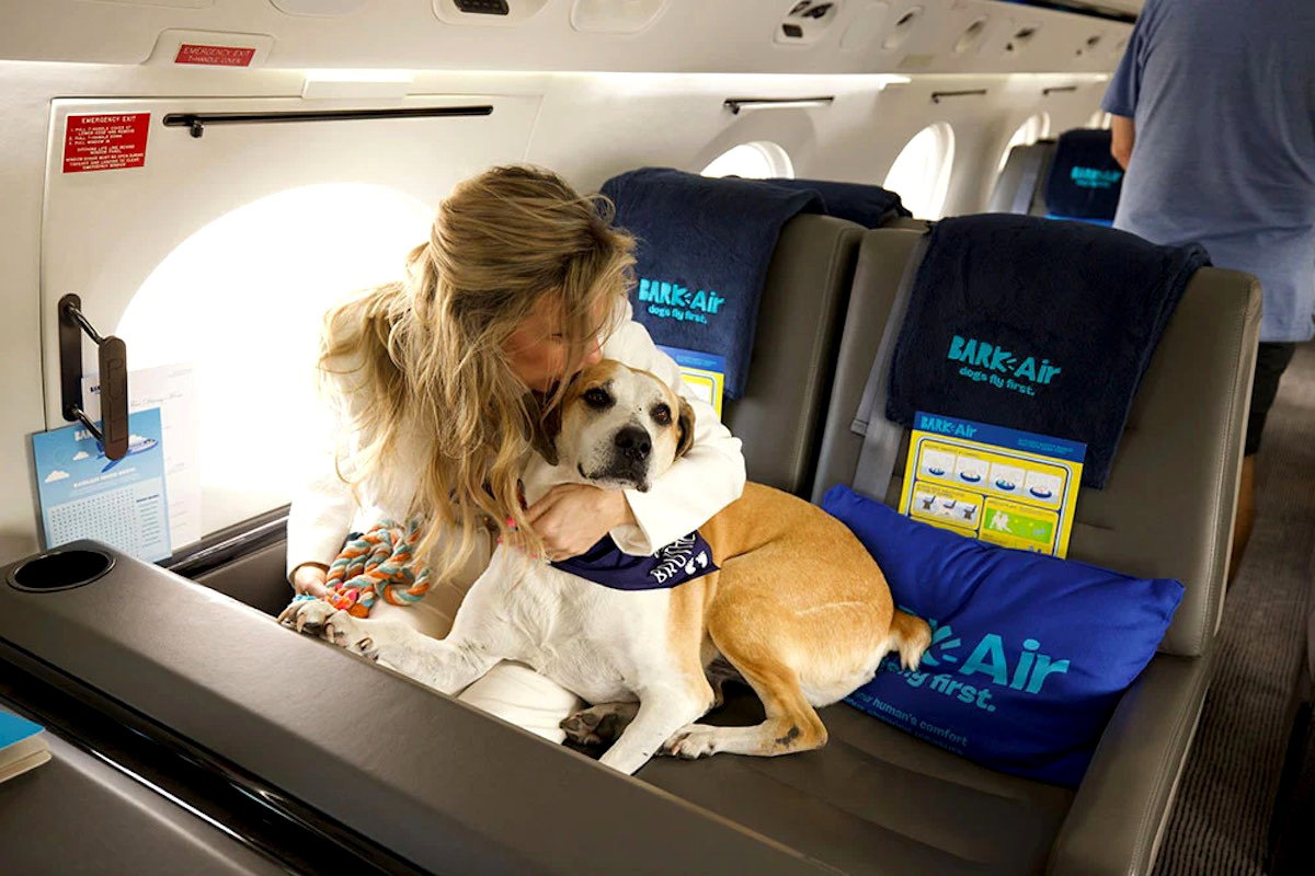 linie lotnicze Bark Air
