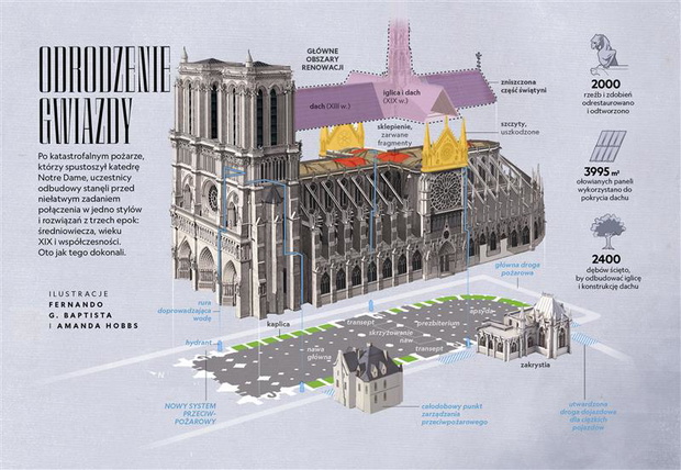 notre dame infografika