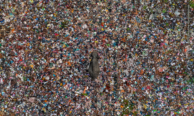 Echoes of Waste
