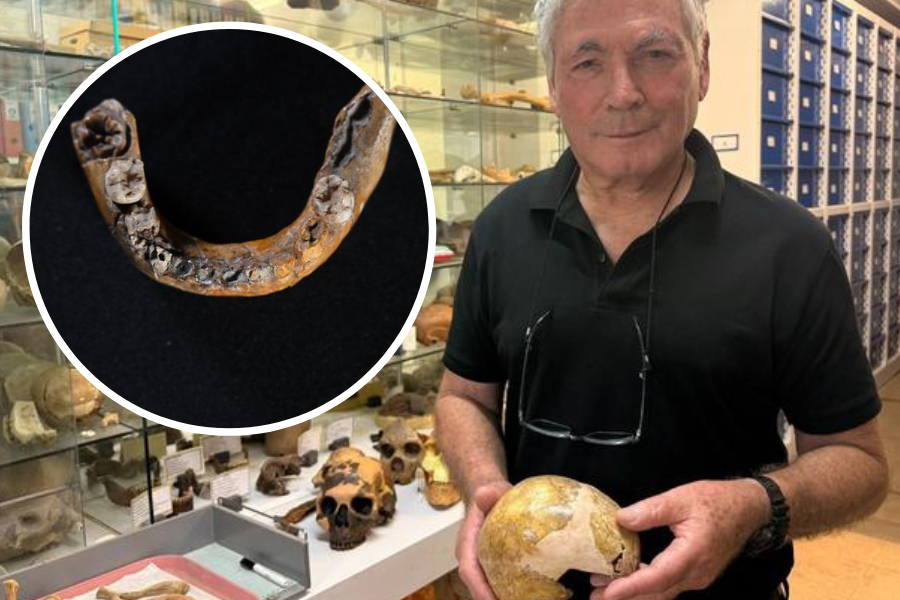 To najwcześniejszy dowód na krzyżowanie się Homo sapiens i neandertalczyków. Sensacja z Izraela