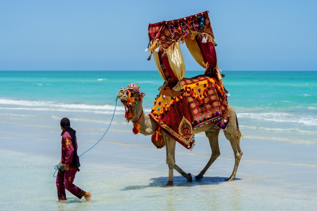 djerba plaża