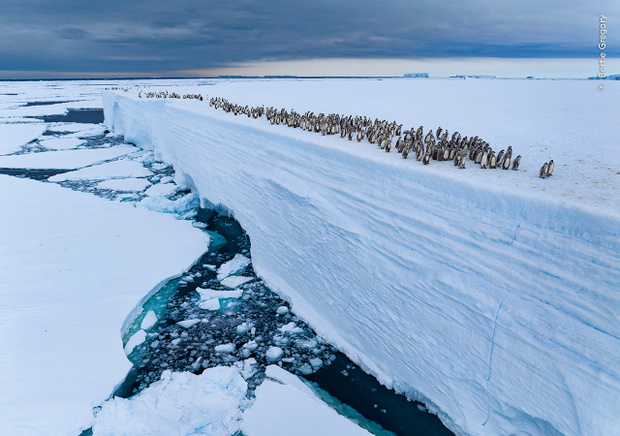 © Bertie Gregory, Wildlife Photographer of the Year