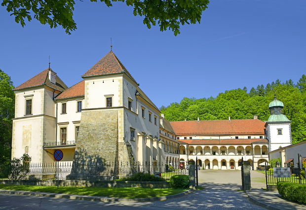 Zamek w Suchej Beskidzkiej