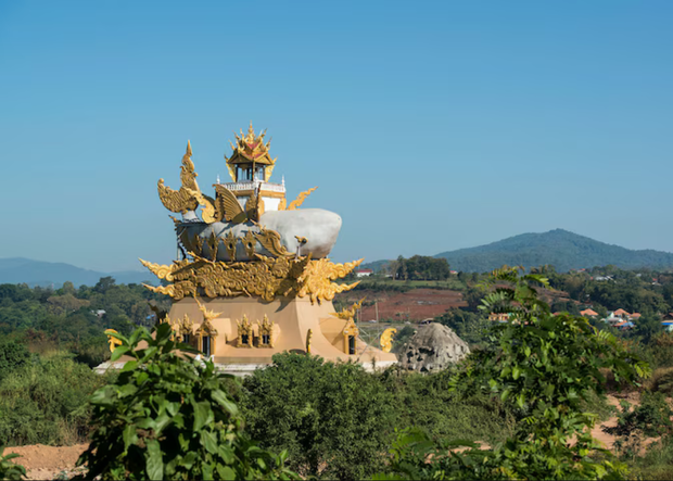 W północnotajskim Chiang Khong, w buddyjskiej świątyni Wat Pla Buek, stoi złoty posąg suma, który upamiętnia olbrzymiego suma z Mekongu.