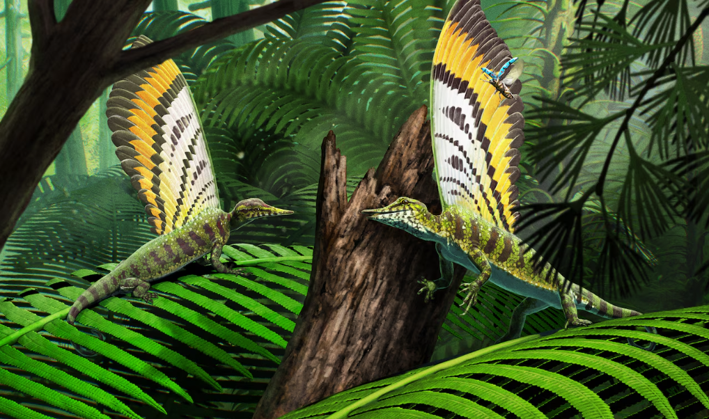 Rekonstrukcja i ilustracja Mirasaura grauvogeli w jego naturalnym, leśnym środowisku.