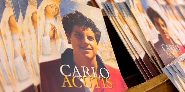 Carlo Acutis – ciekawostki o młodym influencerze, który został świętym (fot. Adrian Tusar / Shutterstock.com)