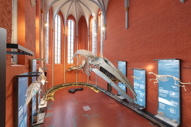 MEERESMUSEUM