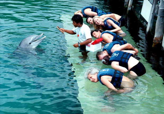 Delfinarium w Tulum w Meksyku