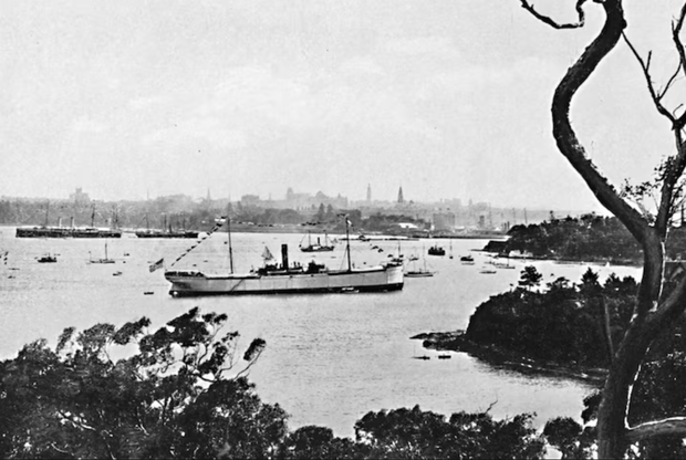 Widok na australijską Zatokę Sydney od strony North Shore, ok. 1900 r. / fot. The Print Collector, Getty