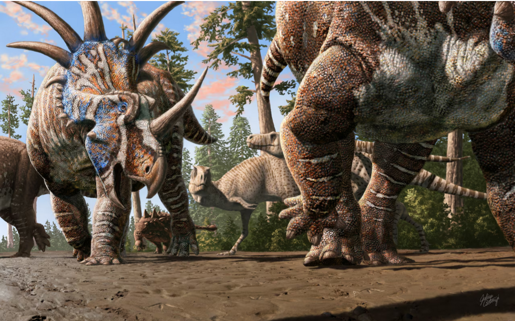 Stado ceratopsów (Styracosaurus albertensis), w towarzystwie ankylozaura (Euplocephalus tutus), przemierza dawne koryto rzeki pod czujnym okiem dwóch tyranozaurów (Gorgosaurus libratus).