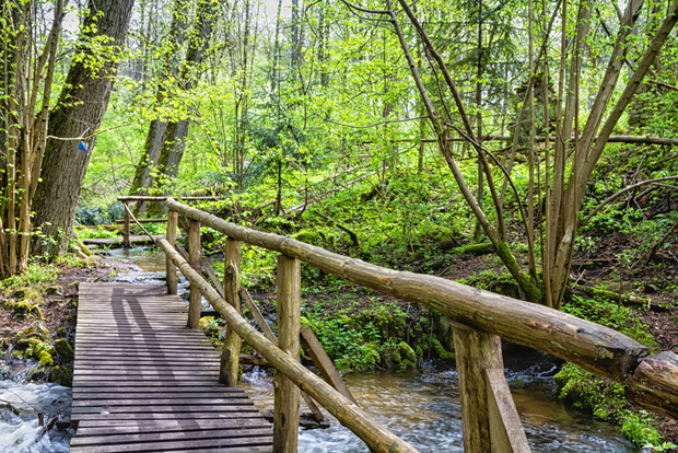 Roztoczański Park Krajobrazowy