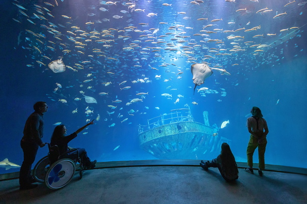 OZEANEUM