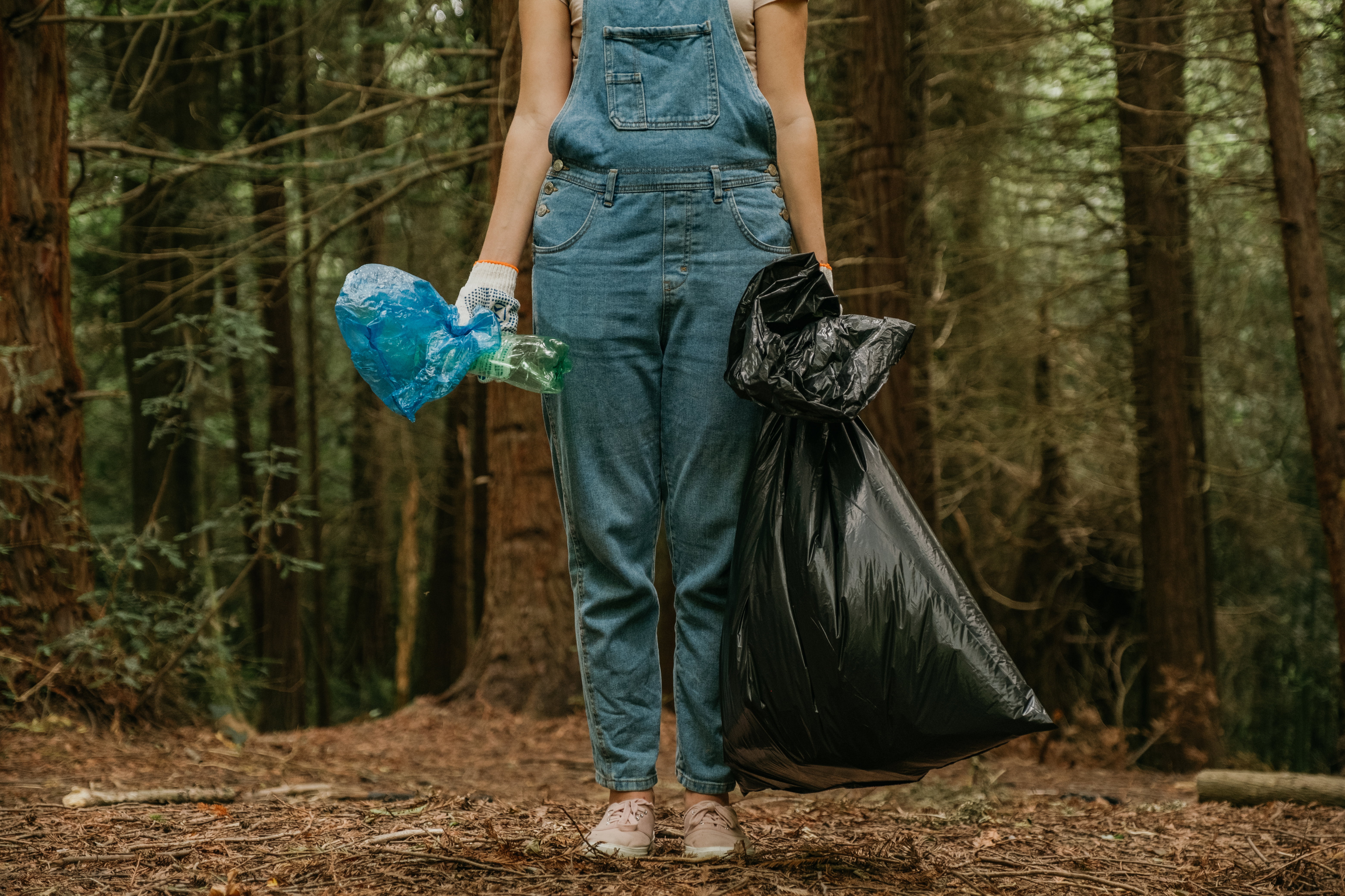 Mikroplastik opanowuje lasy. Spodziewaliśmy się tego, ale teraz pojawiły się dowody