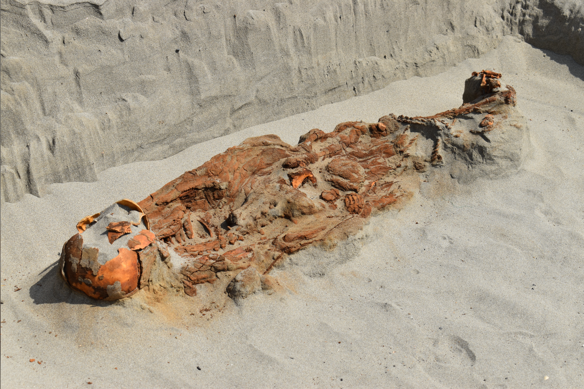 Na stanowisku archeologicznym Puemape w Peru odkryto ofiary rytualnych morderstw sprzed 2300 lat