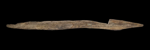 Niebezpieczne drewniane kolce, zwane przez niemieckich archeologów pila fossata i podobne do tych opisywanych przez Juliusza Cezara, po raz pierwszy odkryto w całości na stanowisku Blöskopf. Dzięki wilgotnej, ubogiej w tlen glebie zachowały się w wyjątkow