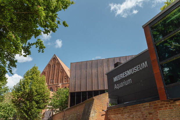 MEERESMUSEUM