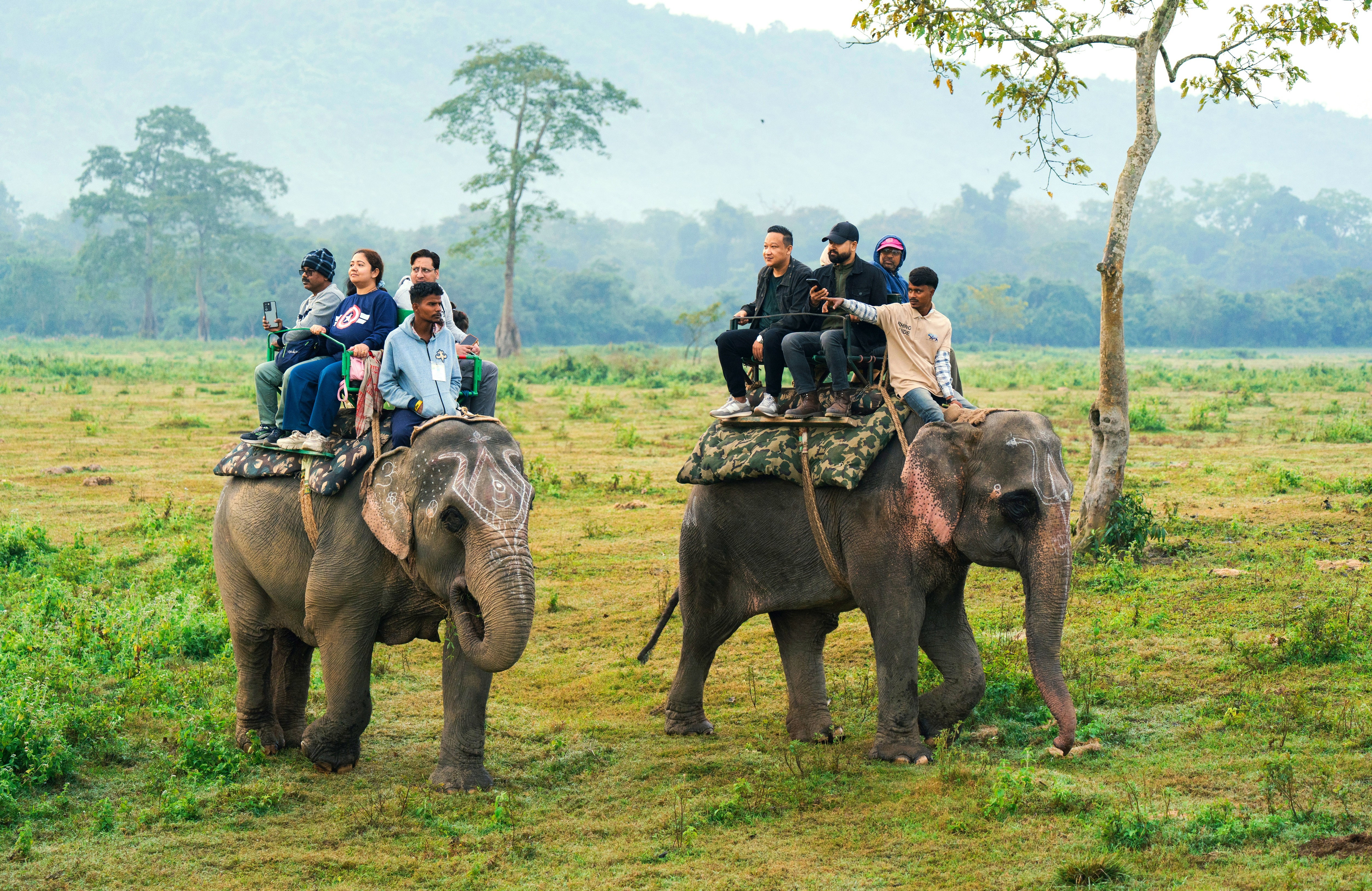 Turyści jadą na słoniach podczas safari w Parku Narodowym Kaziranga w Indiach