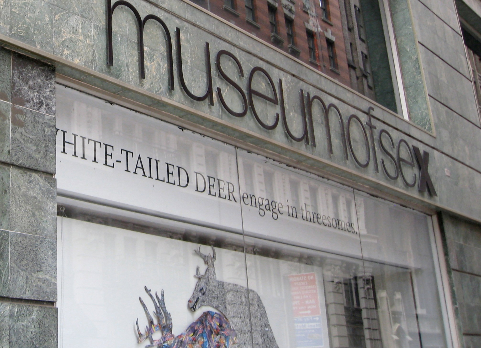 Muzeum Seksu w Nowym Jorku