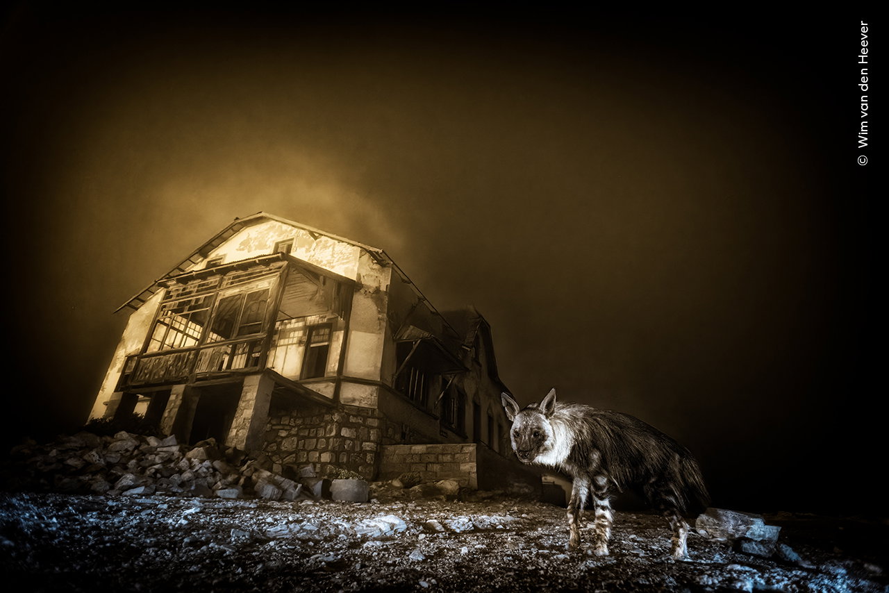 Zwycięskie zdjęcie konkursu Wildlife Photographer of the Year 2025