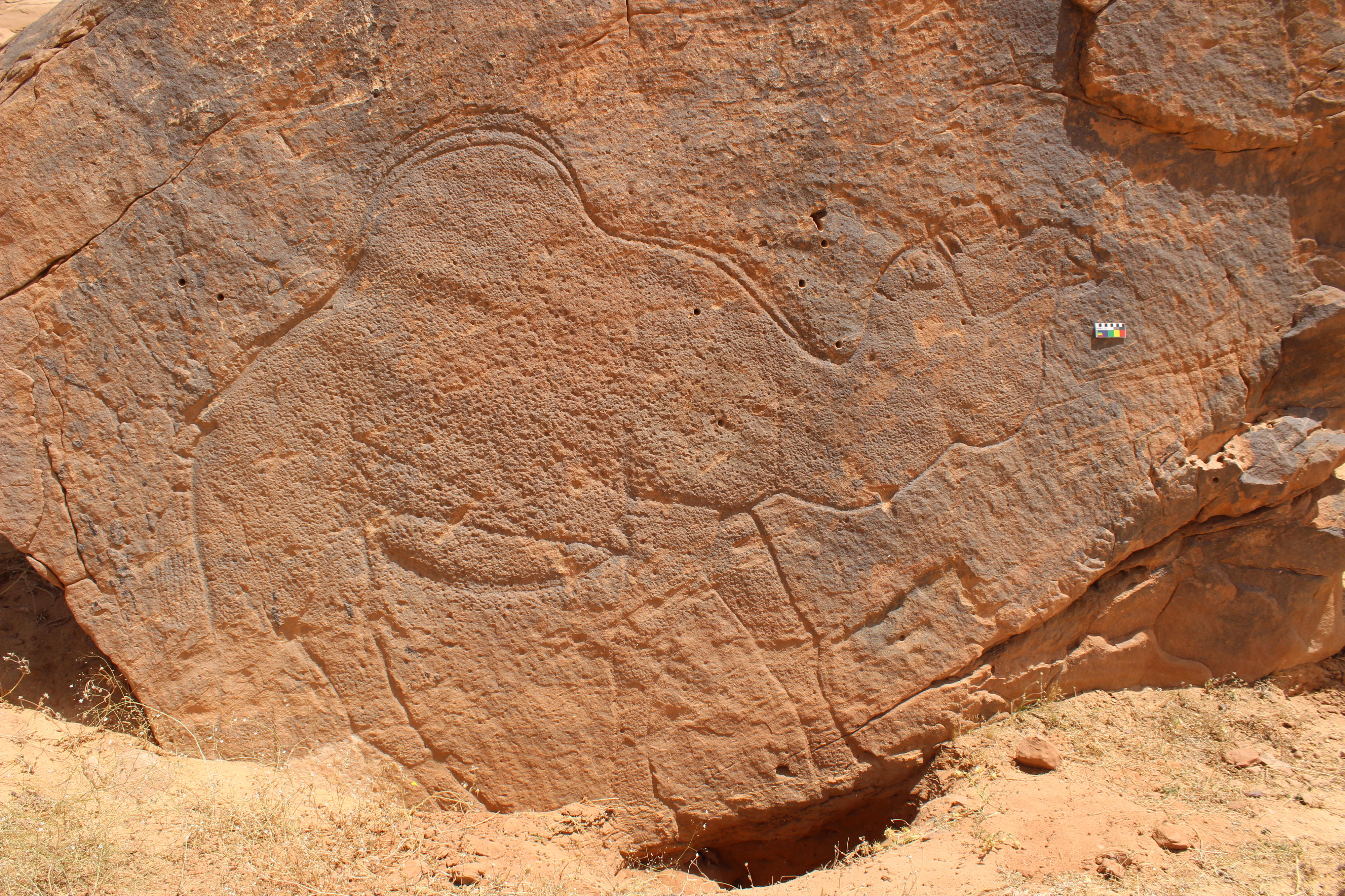 Zwierzęta zaklęte w kamieniu. Odkrycie archeologów na Półwyspie Arabskim