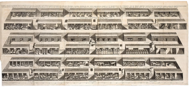W 1675 roku Athanasius Kircher opublikował Arca Noë, analizę biblijnej historii Arki Noego. Kircher wysunął hipotezę, że Noe nie musiał ratować tzw. „gatunków hybrydowych” — dlatego ta ilustracja z książki przedstawia niehybrydowe gatunki, które, jego zda