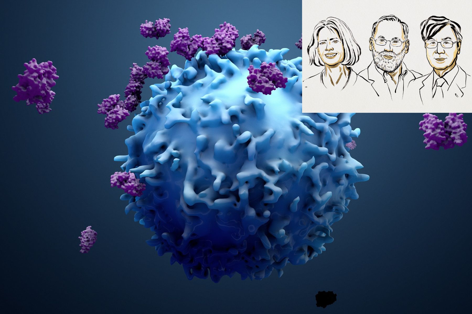 nobel-2025-med