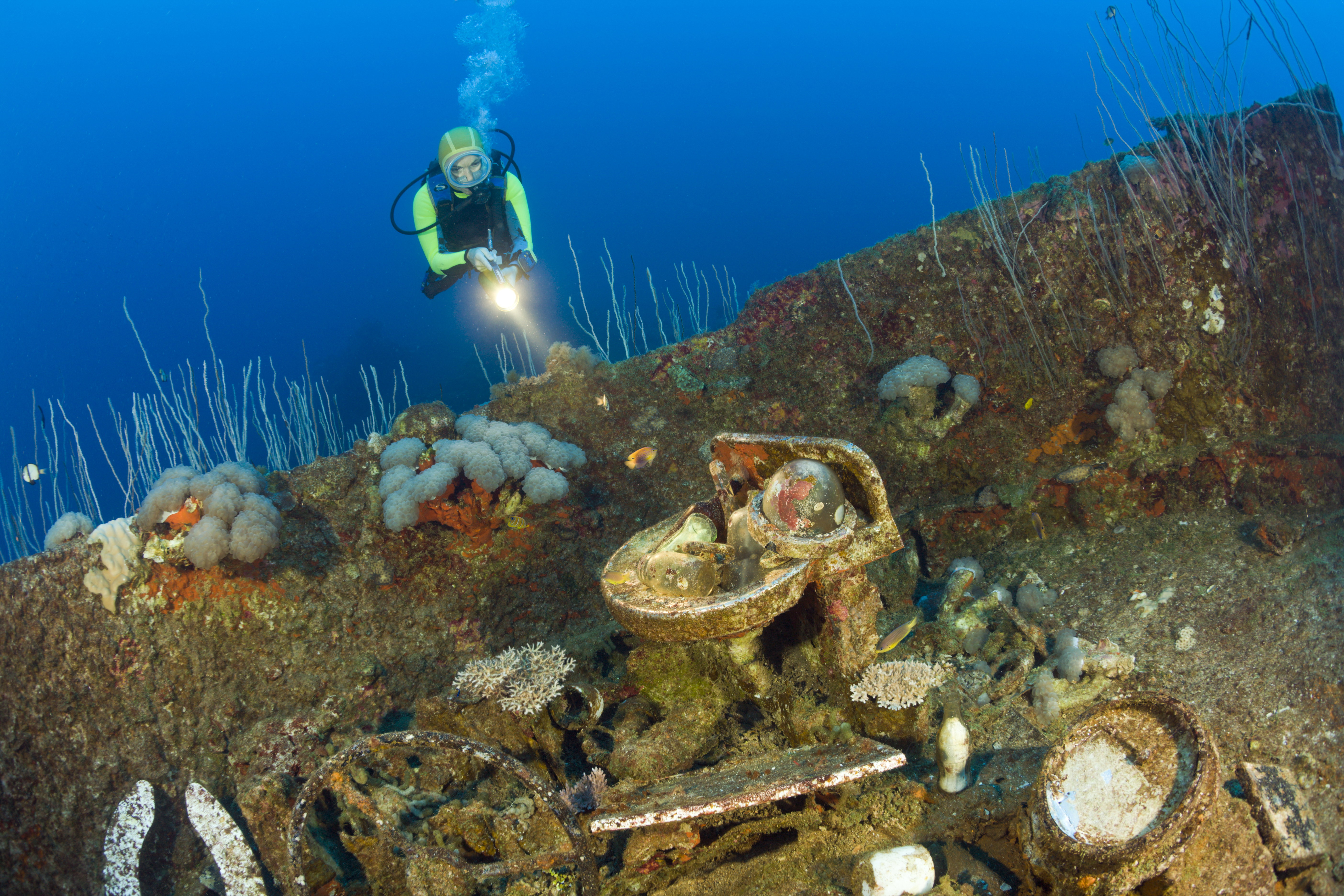 Diver discover Wreck of USS Carlisle Attack Transporter, Marshall Islands, Bikini Atoll, Micronesia